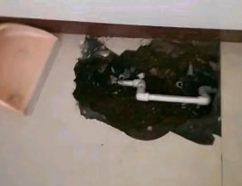 郧西卫生间测漏水多少钱